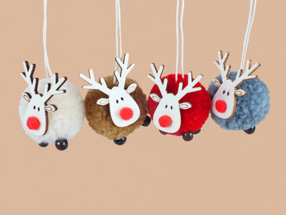 Rudolf Christmas Hamper Adult